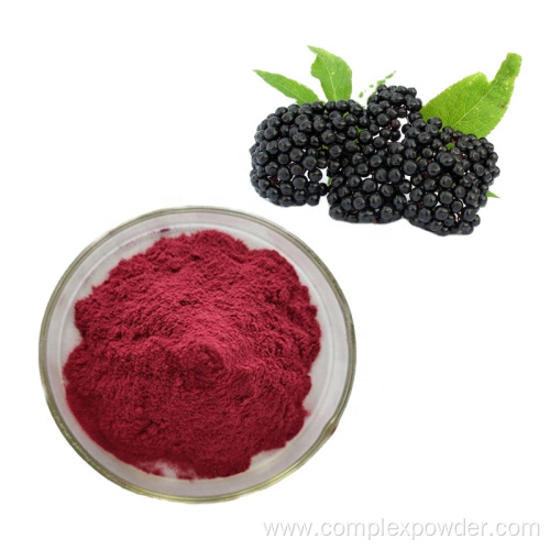 Hight Quality Elderberry Fruit Powder